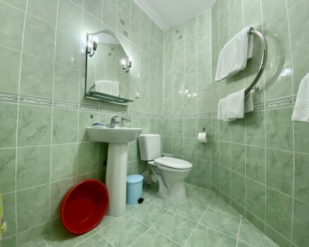 Стандарт «Горы» однокомнатный 2-х местный (с балконом) 5 корпус