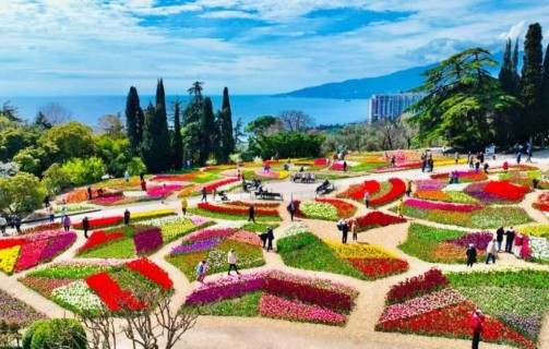 Парад тюльпанов в Никитском ботаническом саду