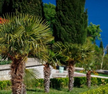 Программа «Климатолечение»