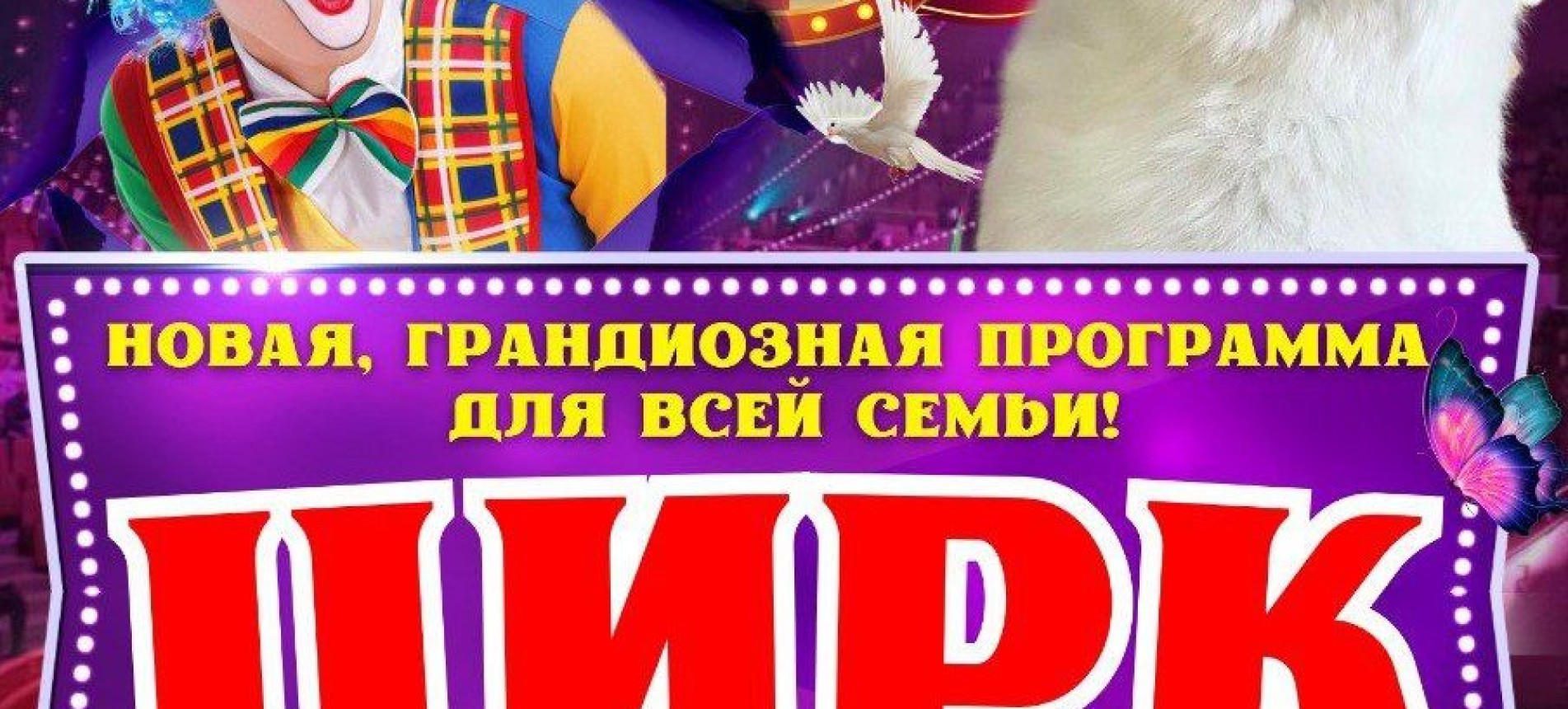 Цирковое представление для всей семьи