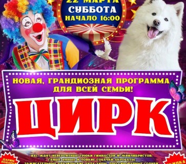 Цирковое представление для всей семьи