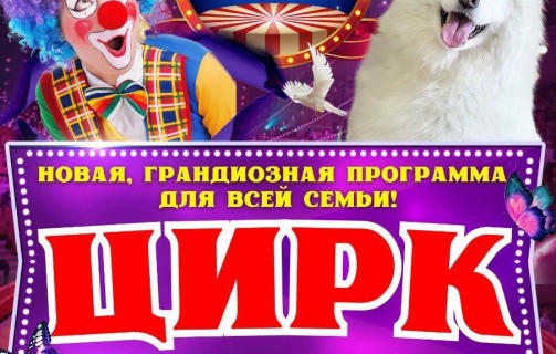 Цирковое представление для всей семьи