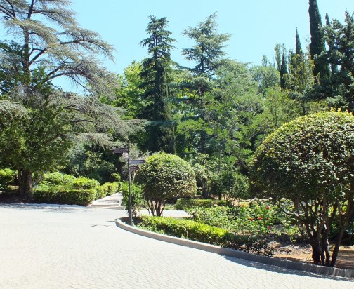 Для Севастопольцев, Южан и жителей Новых территорий