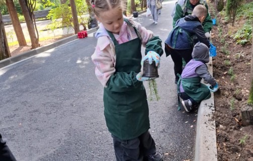 Посадка розмарина в Год благоустройства !