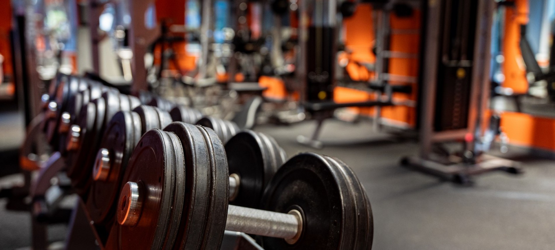 Спортивная жизнь