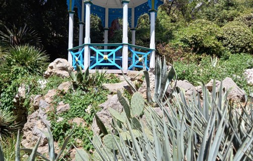 Никитский ботанический сад