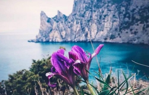Наслаждайтесь красотами Крыма вместе с нами!