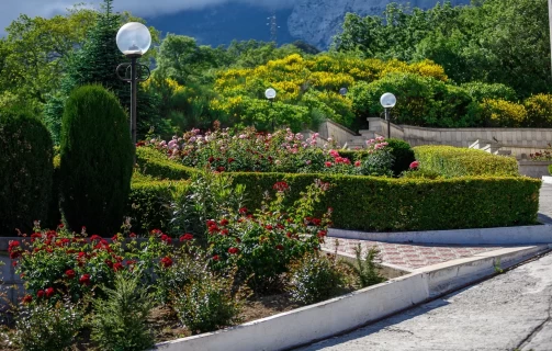 Акция «Лето без забот»